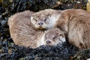 Photo by Steve and Lorna.
