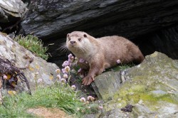 Photo by Steve and Lorna.