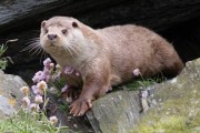 Photo by Steve and Lorna.
