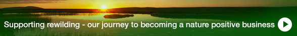 Supporting rewilding - our journey to becoming a nature positive business
