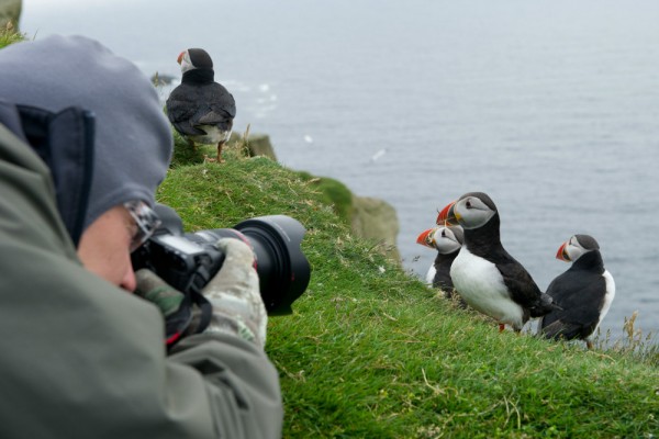 Lenka and puffins at Hermaness.