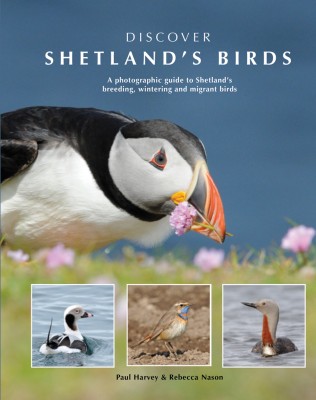 Discover Shetland's Birds