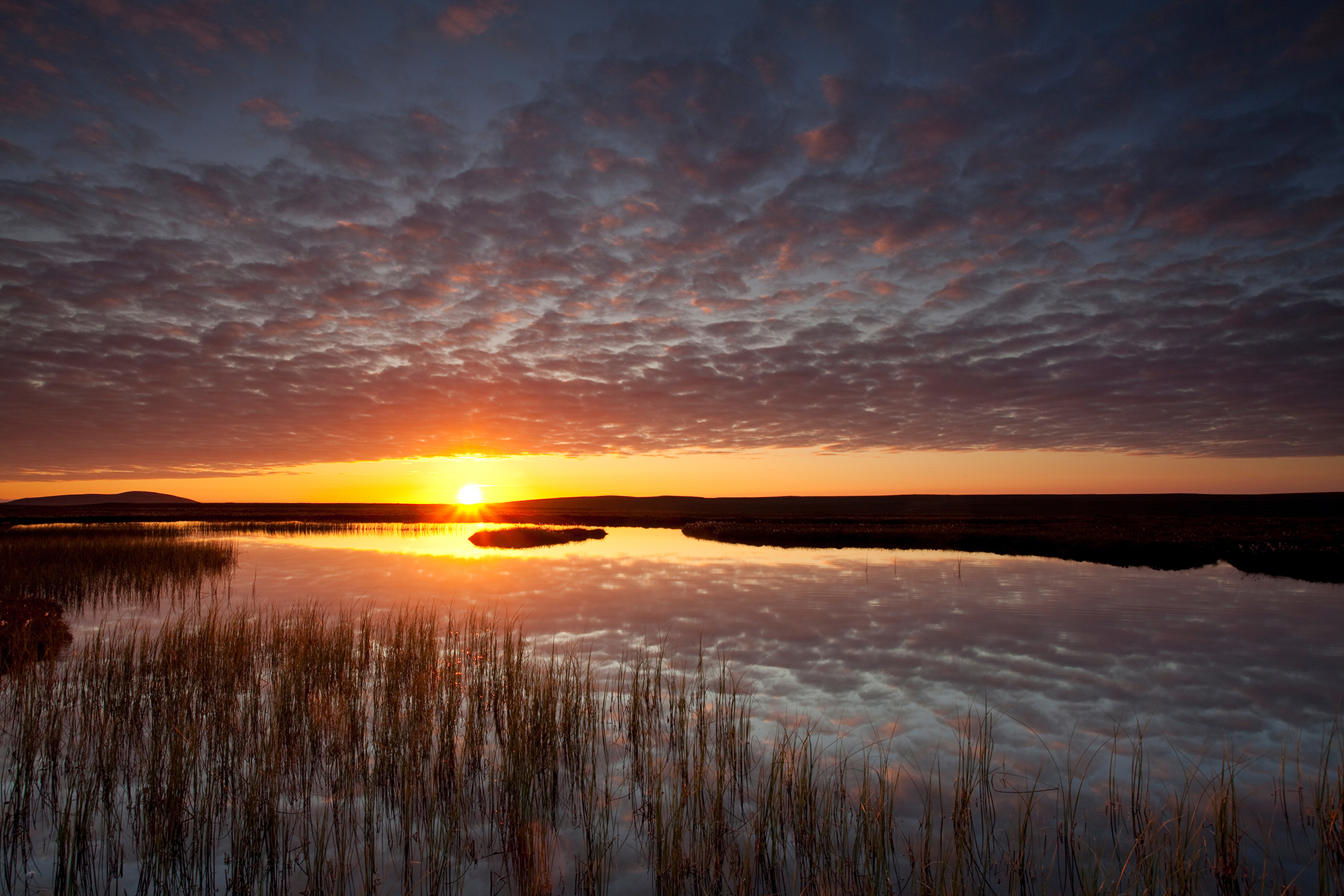 Pools and bog peatland at dawn, Flow Country, Scotland, June. Pools and bog peatland at dawn, Flow Country, Scotland, June.